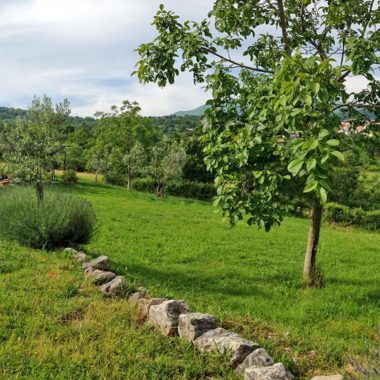 Agriturismo - Esterno