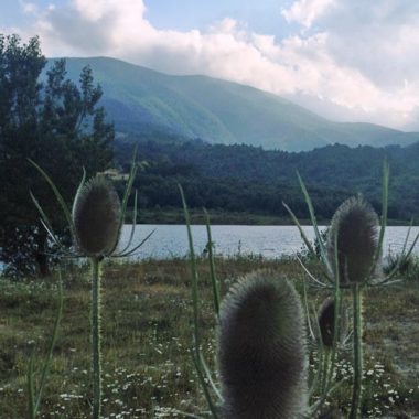 lago