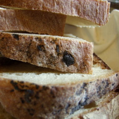 Pane