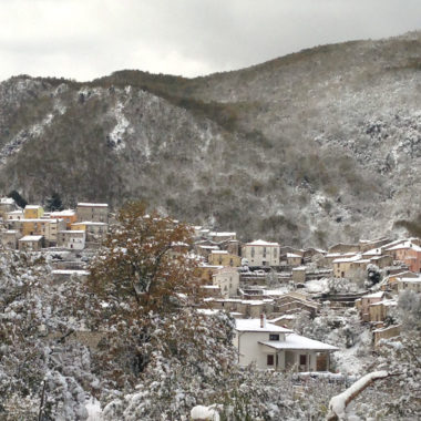 Neve